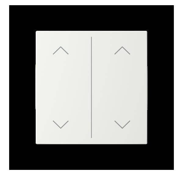 Busch-Jaeger Abdeckung als Wippe 2f. Symbol Auf/Ab LFAW/A.2.55.11-914
