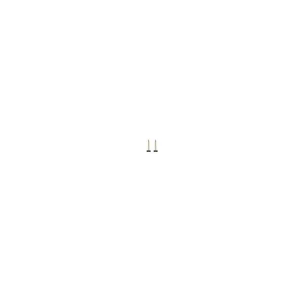 Softing IT Ersatz Elektroden FF_AC_EL