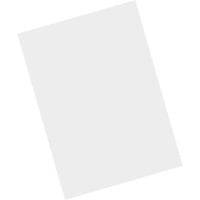 Zebra Schutzfolie (Packung mit 5) - für Zebra MC9300 - MC9300-G-0