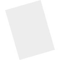 Zebra Schutzfolie (Packung mit 5) - für Zebra MC9300 - MC9300-G-1
