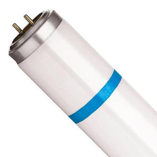 Philips Actinic UVA 15W T8 bruchfest 8711500898586, 1x -08711500898586-1