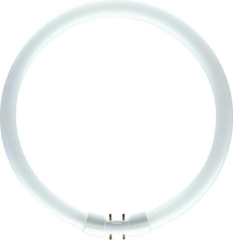 Philips MASTER TL5C rund 22W - 830 Warmweiß | 22cm-2