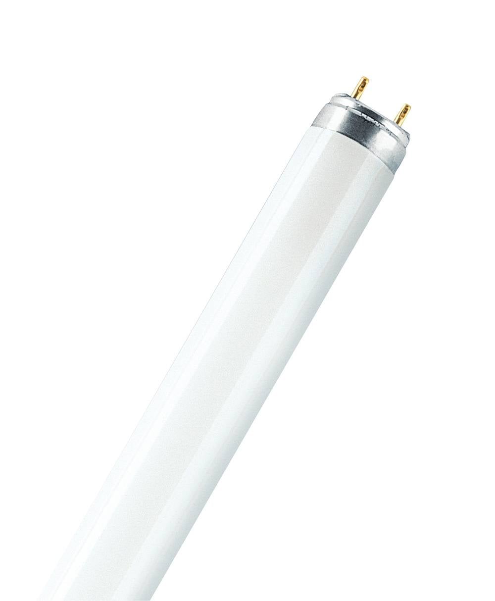 OSRAM LAMPE Lumilux-Lampe 36W cws L 36/865-3
