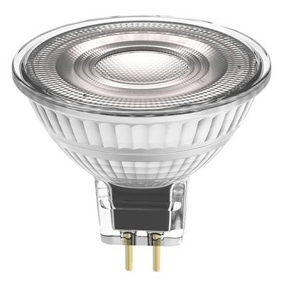 Ledvance Performance LED-Spot Reflektor GU5.3 MR16 5W 345lm 36D - 940 Kaltweiß | Höchste Farbwiedergabe - Dimmbar --0