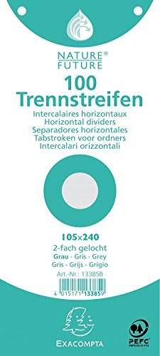 EXACOMPTA Trennstreifen Premium, 105 x 240 mm, grau-2