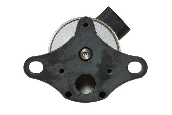 HELLA 6NU 010 171-071 AGR-Ventil - 12V - elektrisch - ohne Dichtung