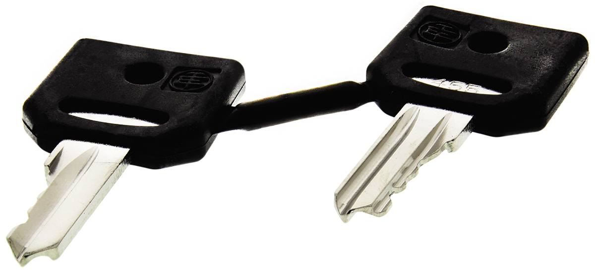 Schneider Electric ZBG455 Schlüssel 1 St. kaufen