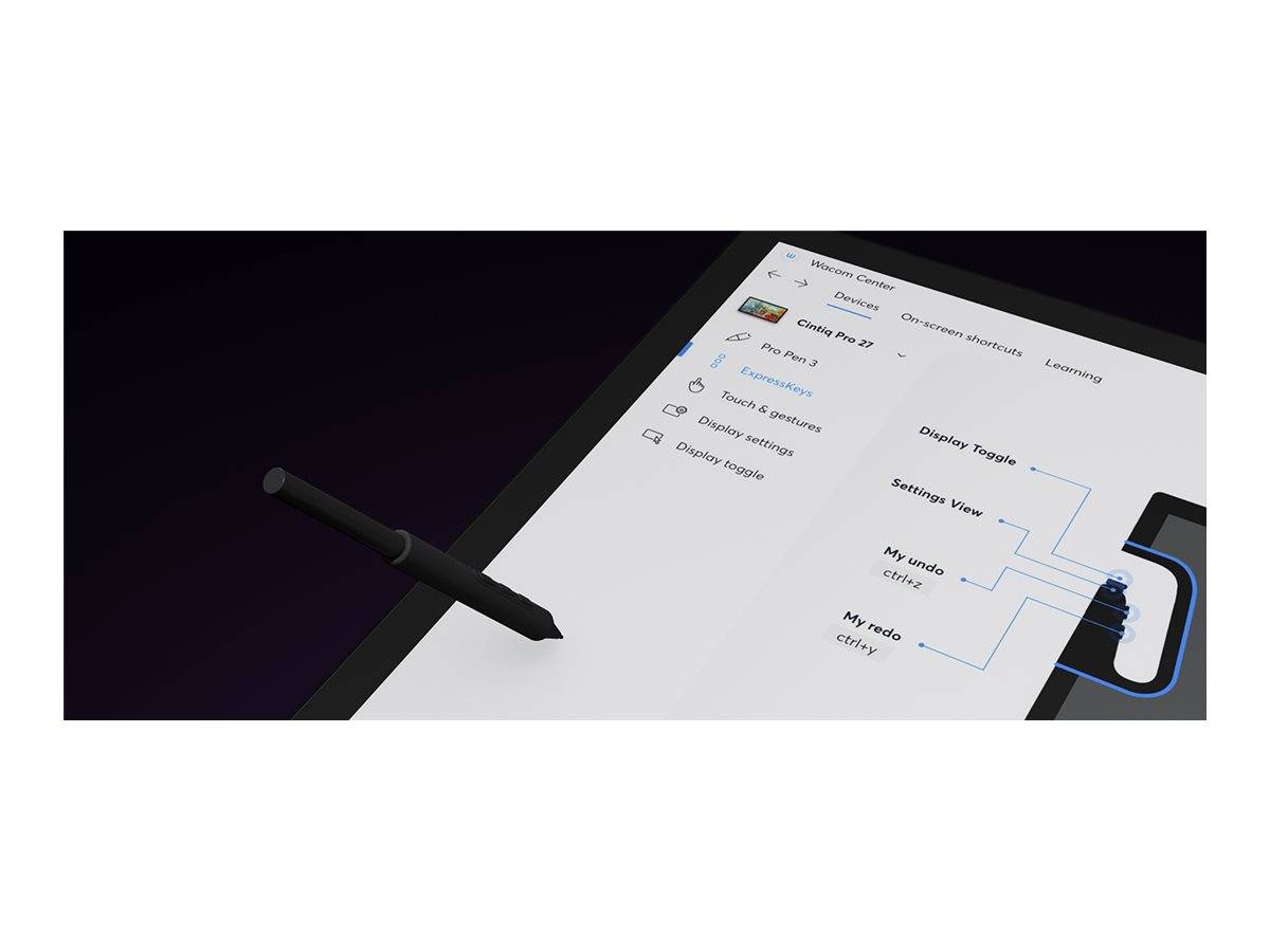 Wacom Cintiq Pro 22 - Digitalisierer mit LCD Anzeige-1