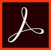 Adobe Acrobat Pro 2020 - Upgrade-Lizenz - 1 Benutzer - Reg. - TLP - Stufe 1 (1+)-1