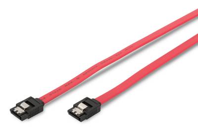 Digitus Festplatten Anschlusskabel [1x SATA-Buchse 7pol. - 1x SATA-Buchse 7pol.] 0.75 m Rot-1