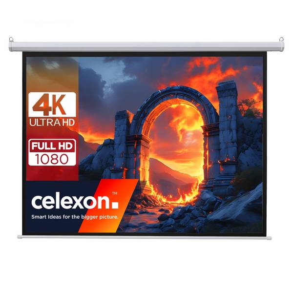 celexon basic Motor-Leinwand 110" | 200x200 cm 1:1 | elektrische Full-HD 4K Beamer-Leinwand für Heimkino oder Büro-PrÃ