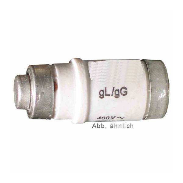 D01 Sicherungseinsatz 4A ENZ401 400VAC/250VDC gL/gG, Farbcode braun 1 Stück