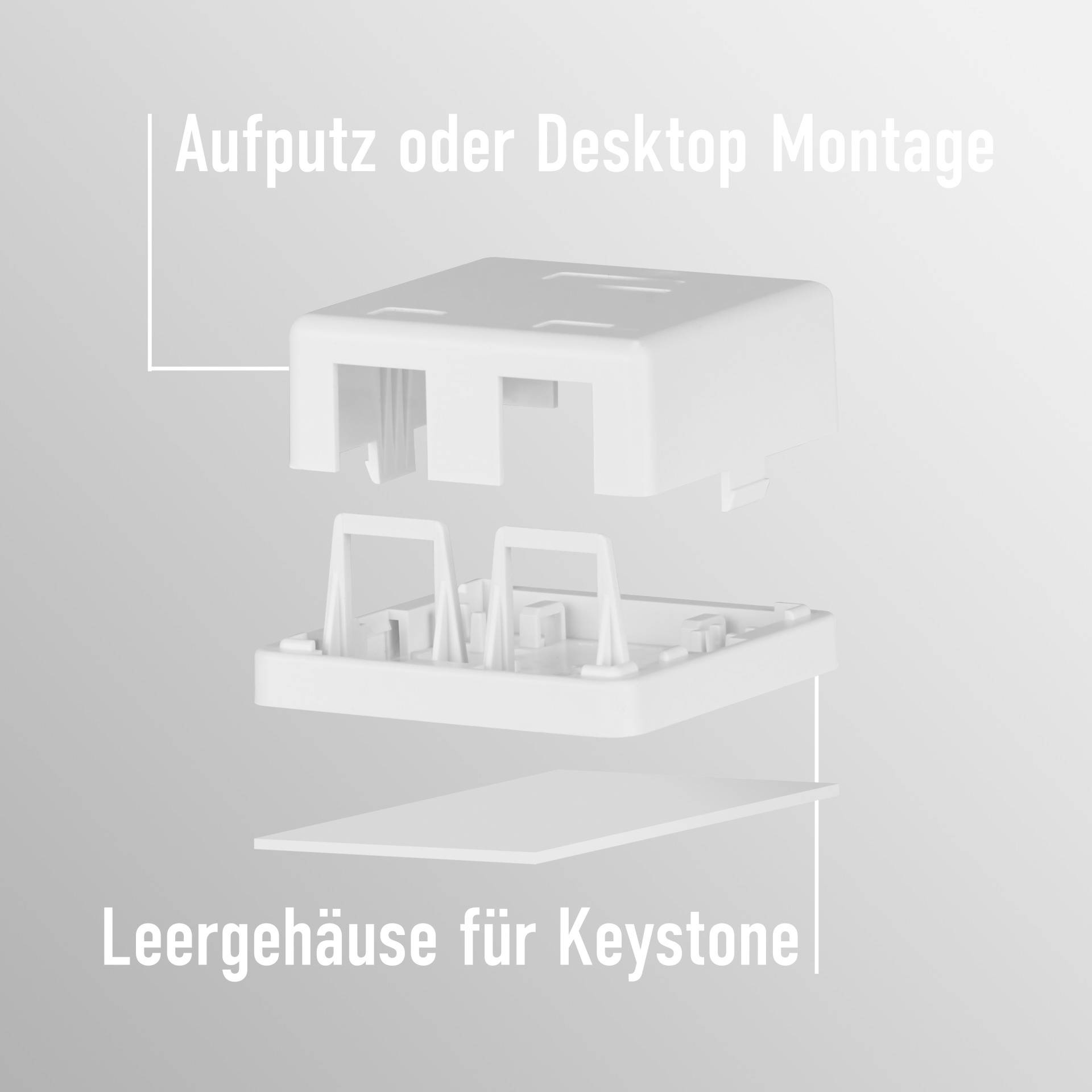 EFB Keystone Anschlussbox, 2Port, Aufputz, Multimedia-Technik Netzwerkzubehör-3