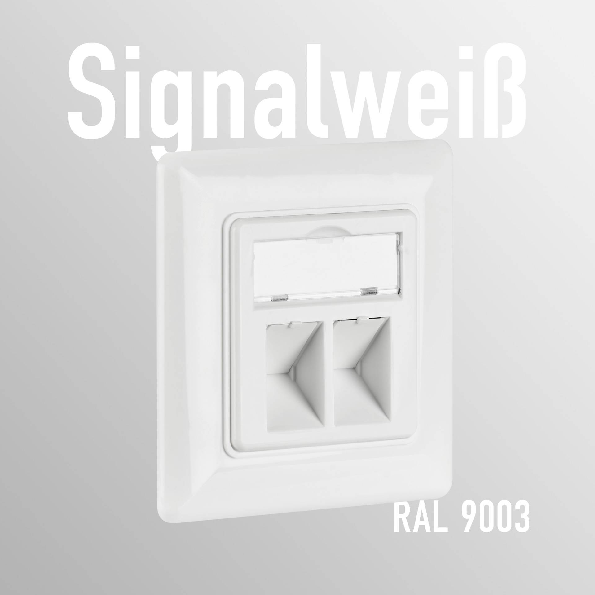 Netzwerkdose 2-fach für Keystones, Weiss, RAL 9003, ohne Keystone Ecommerce Komponenten Rahmen-1