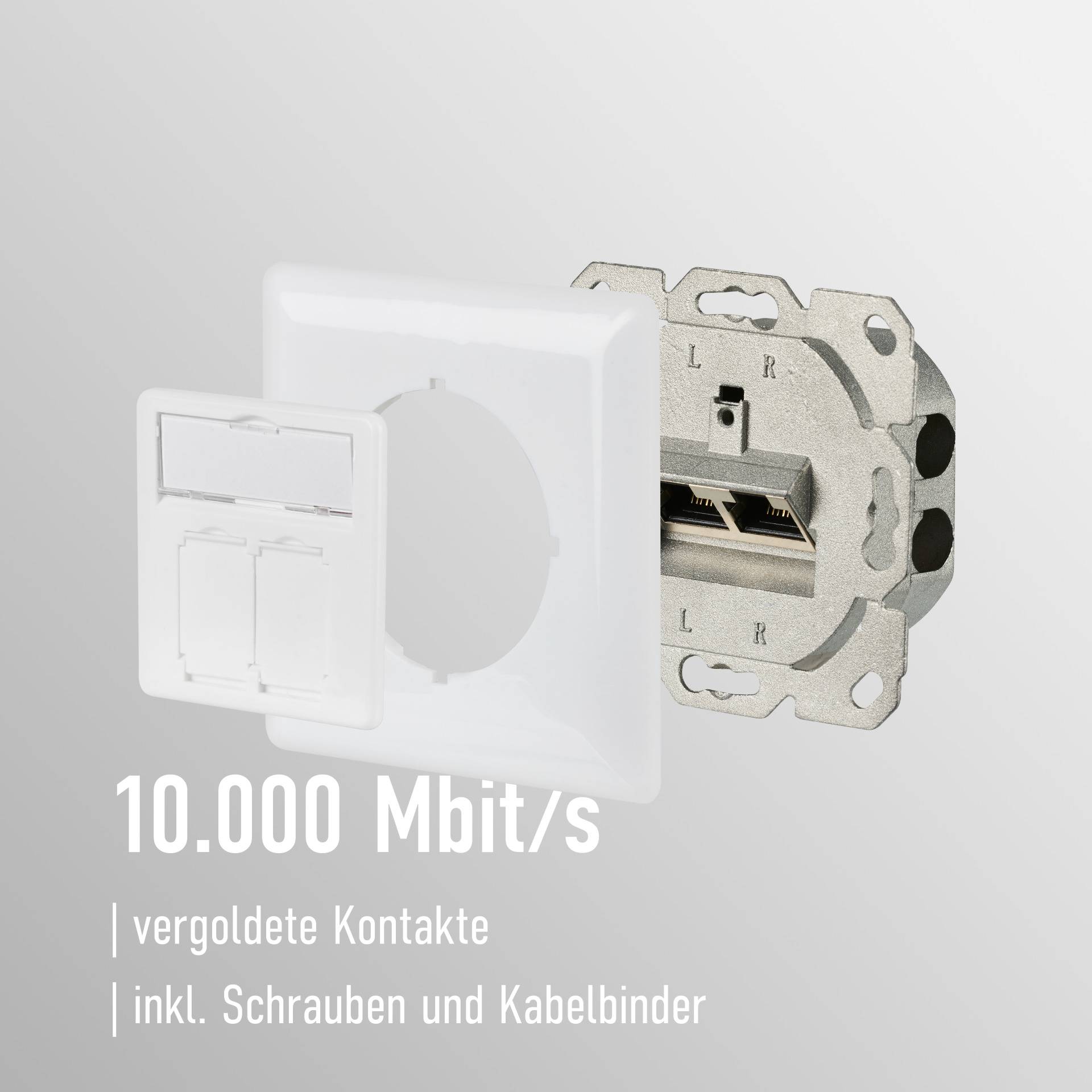Netzwerkdose CAT6a Unterputz 2-fach RJ45, LSA+ Anschlußtechnik, Weiss Ecommerce Keystone Rahmen-2