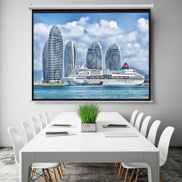 celexon basic Motor-Leinwand 110" | 240x135 cm 16:9 | elektrische Full-HD 4K Beamer-Leinwand für Heimkino oder Büro-Pr
