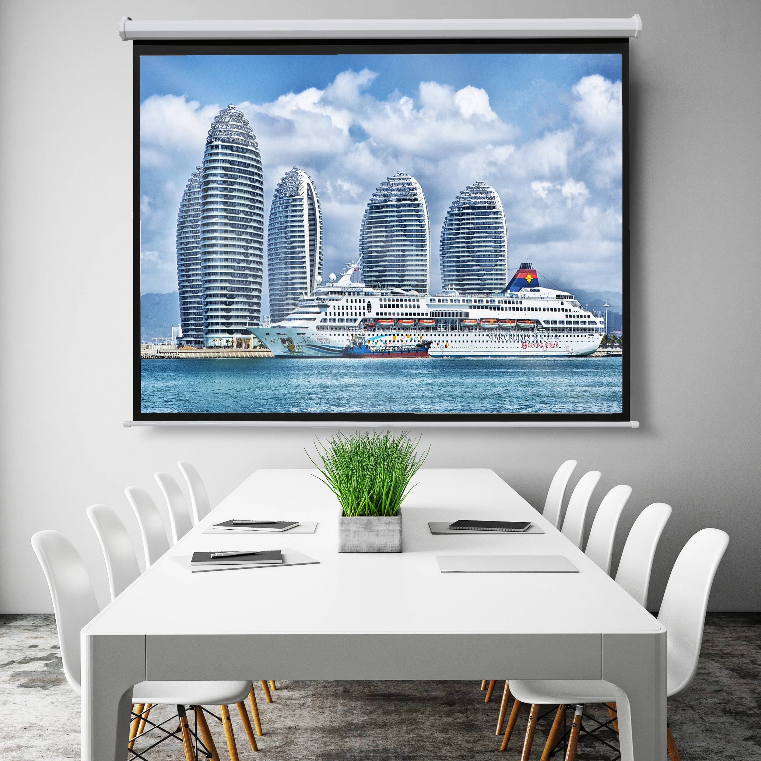 celexon basic Motor-Leinwand 110" | 240x135 cm 16:9 | elektrische Full-HD 4K Beamer-Leinwand für Heimkino oder Büro-Pr-0