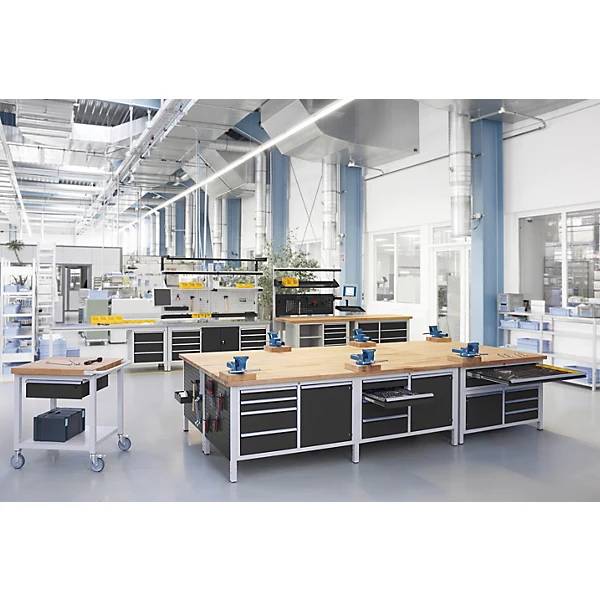 Werkbank Gestellbauweise Serie 8000 4 Schubladen: 2 x 120 2 x 150 mm 1 Schraubstock (Klapp-Lift) BxT 1250 x-1