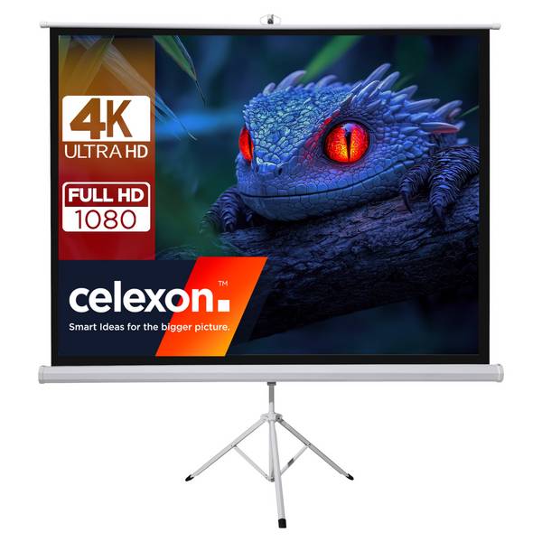 celexon basic Stativ-Leinwand 120" | 220x220 cm 1:1 | mobile transportable 4K, Full-HD Leinwand | Beamerleinwand mit Sta