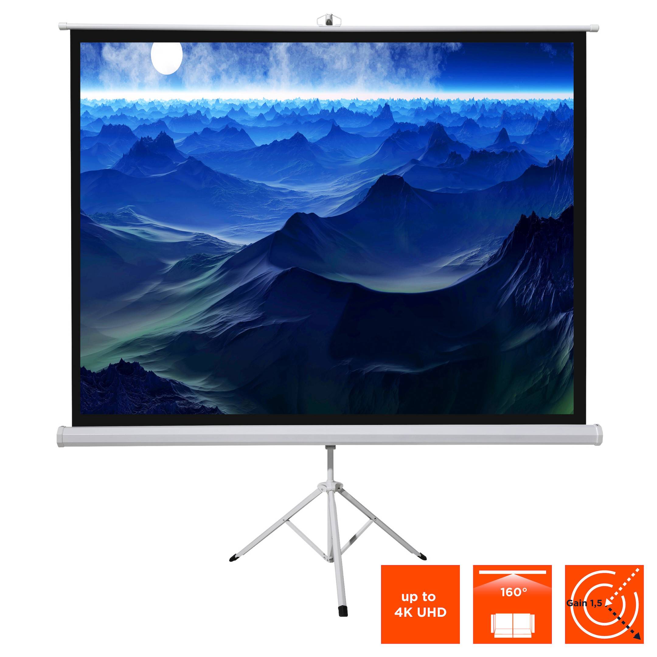celexon basic Stativ-Leinwand 120" | 220x220 cm 1:1 | mobile transportable 4K, Full-HD Leinwand | Beamerleinwand mit Sta-4