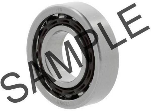 SCHKG 3309 -B-TV-C3 ID 45mm AD 100mm Breite39,7mm 1St./VE NKE