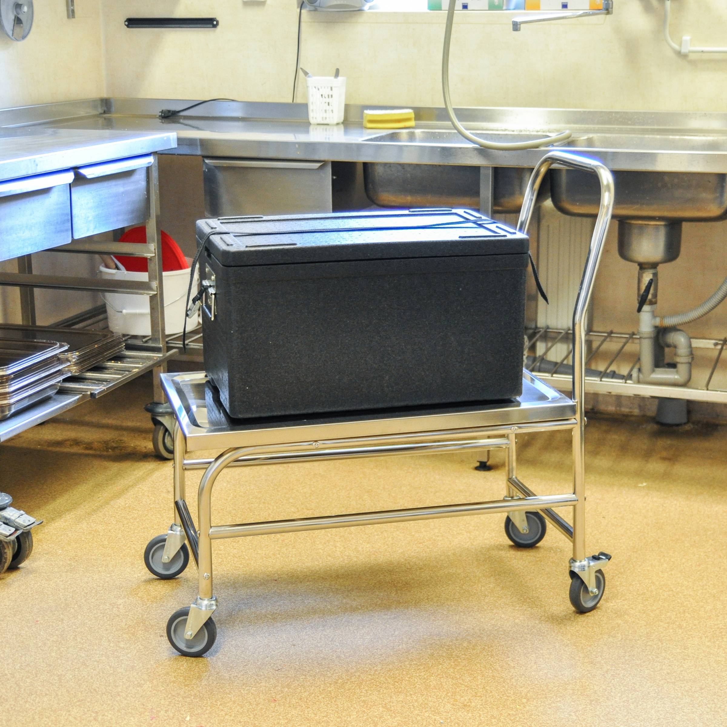 Kongamek Edelstahl- Plattformwagen komplett rostfrei mit Schiebegriff und Bremse 760x440mm Ladefläc-3
