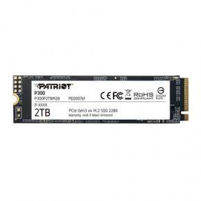 Patriot Memory P300 SSDs Interne-0
