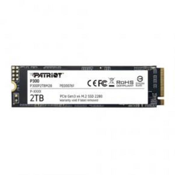Patriot Memory P300 SSDs Interne