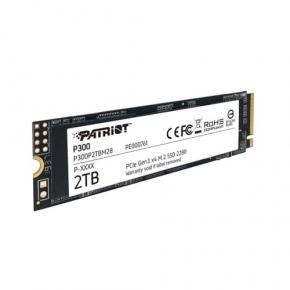 Patriot Memory P300 SSDs Interne-1