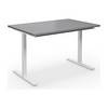 Mehrzwecktisch DUO-T gerade Platte HxT 740 x 800 mm Breite 1200 mm lichtgrau weiß. TAKKT Industrial &