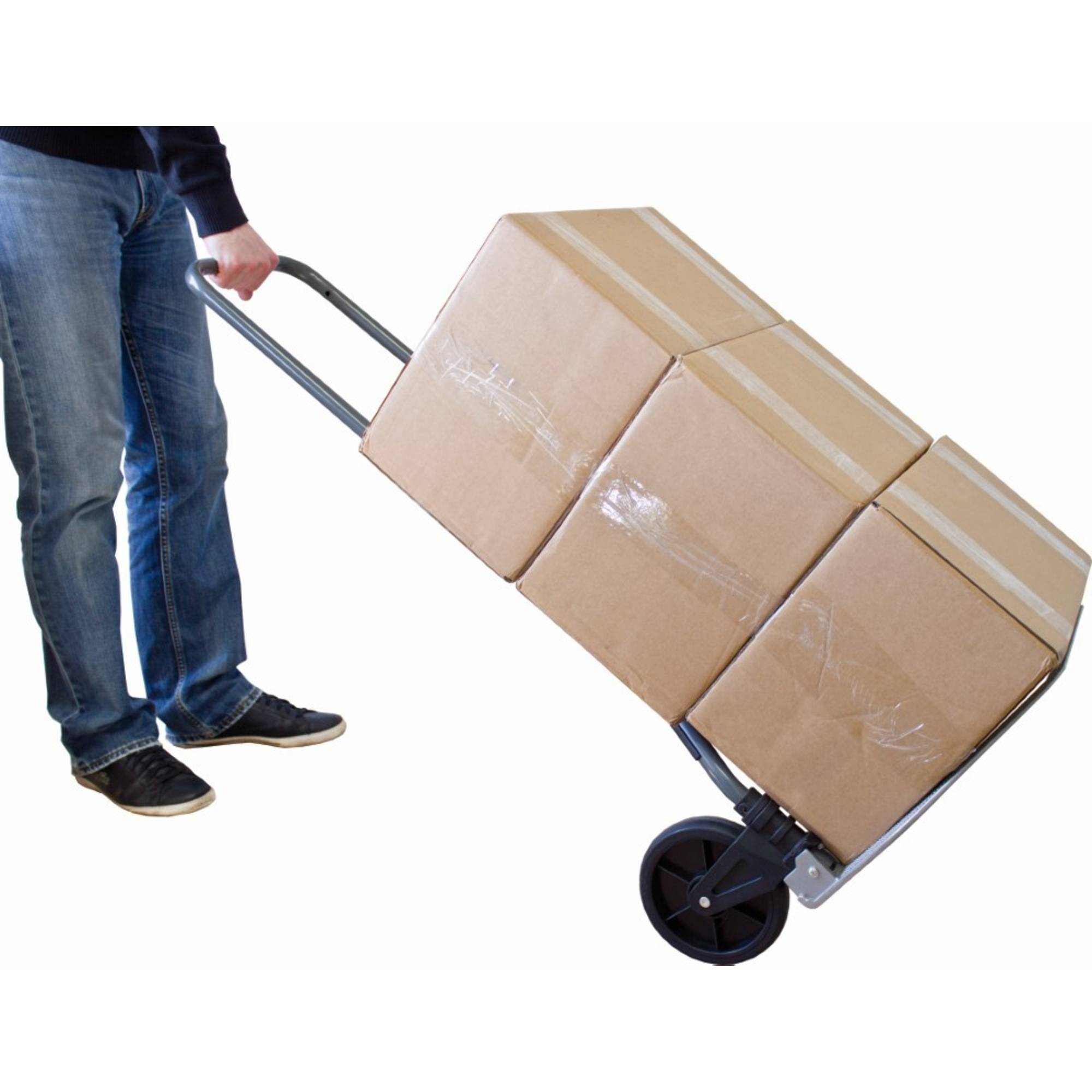 Sackkarre RuckZuck 100kg-1