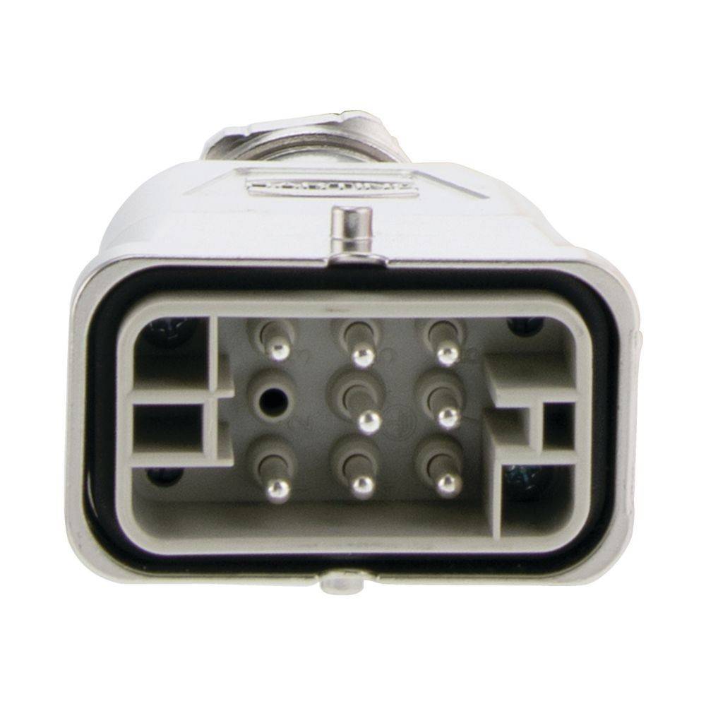 Eaton Motorleitung RASP-CM2-10M-2