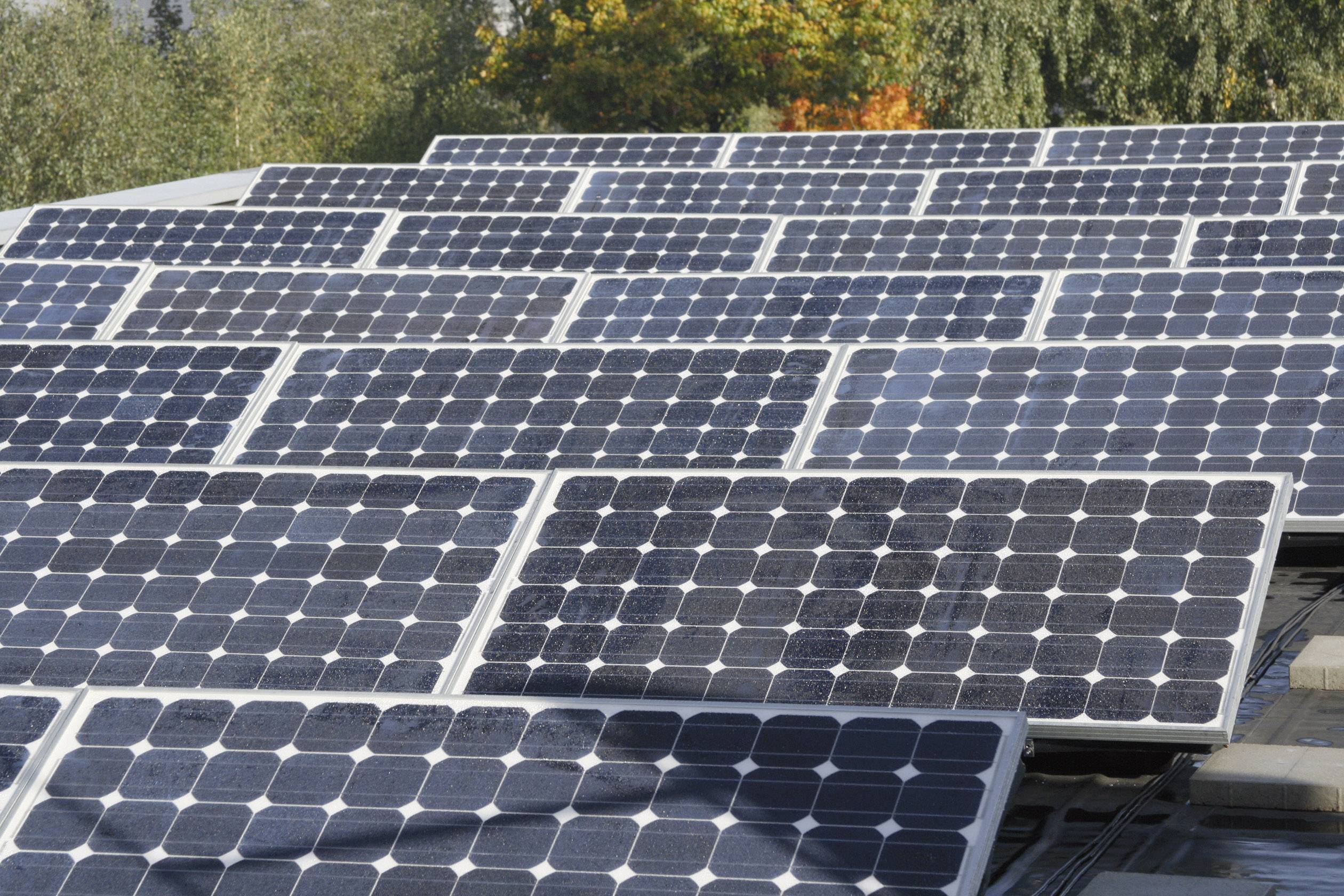 Solaranlage auf einem Dach mit sonniger Umgebung und Bäumen im Hintergrund, zeigt umweltfreundliche Energiegewinnung.