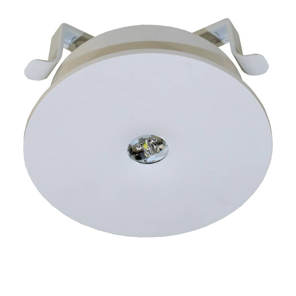 RP-Technik Sicherheitsleuchte ILEL423WL