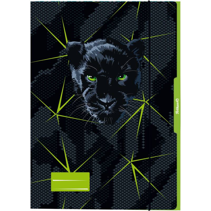 Sammelmappe Puma, A3, Karton PELIKAN 300004010