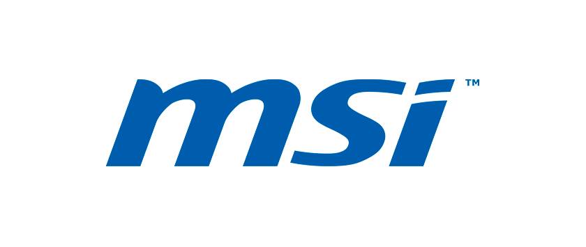 MSI - 307-7G1A211-HG0 Displaydeckel 43.9cm 17.3 Zoll schwarz