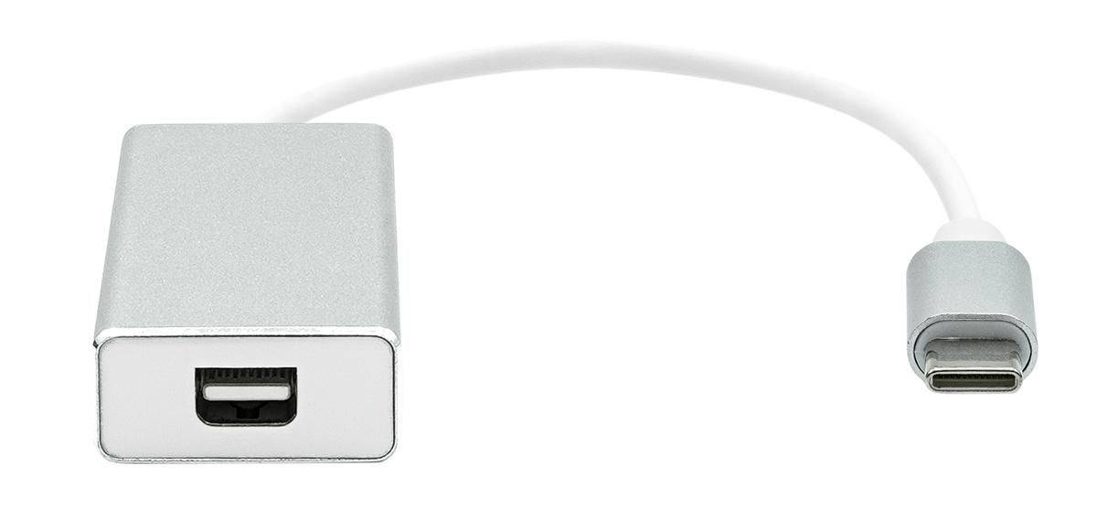 USB-C to Mini DP 20cm silver Kabel & Adapter-0
