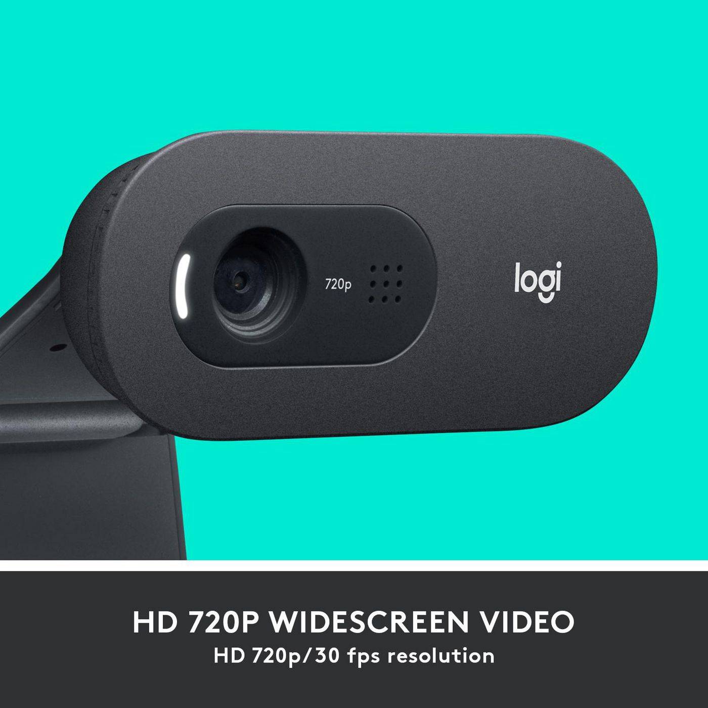 Logitech C505 HD Webcam, 1280 x 720 Pixel, 30 fps, 1280x720@30fps, 720p, 60°, USB-1