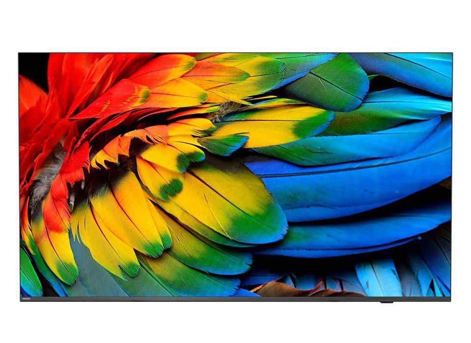 Philips 43HFL6214U - 108 cm (43") Diagonalklasse Professional MediaSuite LCD-TV mit LED-Hintergrundbeleuchtung - Gesundh-0