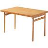 Klapptisch Gestell Massivholz Buche BxT 1500 x 800 mm Holz-Faserplatte. Fixbordet 1934 AB 79049149