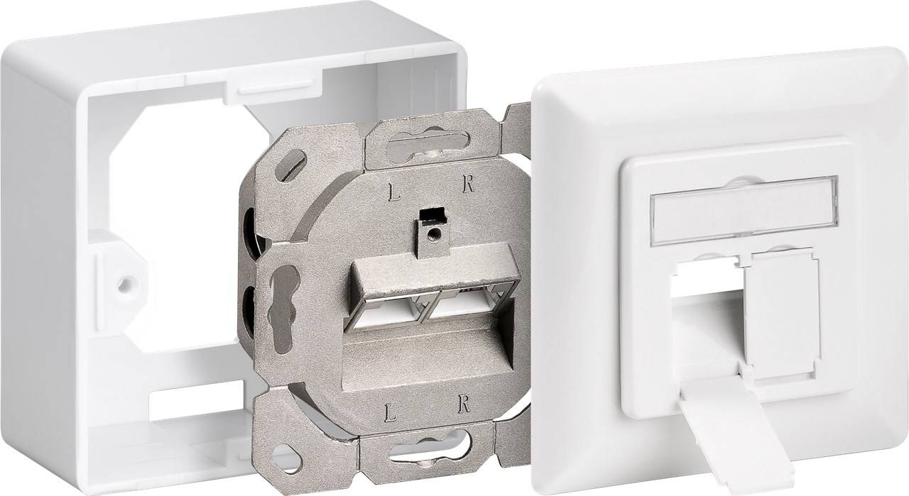 Goobay 68246 Netzwerkdose Aufputz Einsatz CAT 6 2 x RJ45 Port Signalweiß mit Einsatz, Zentralplatte und Rahmen-4