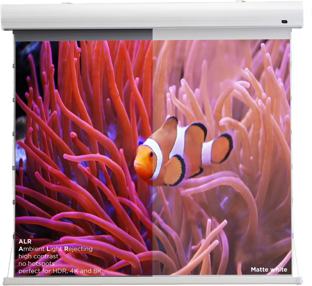 celexon HomeCinema Hochkontrastleinwand Tension 298 x 168 cm 135" - Dynamic Slate ALR-4