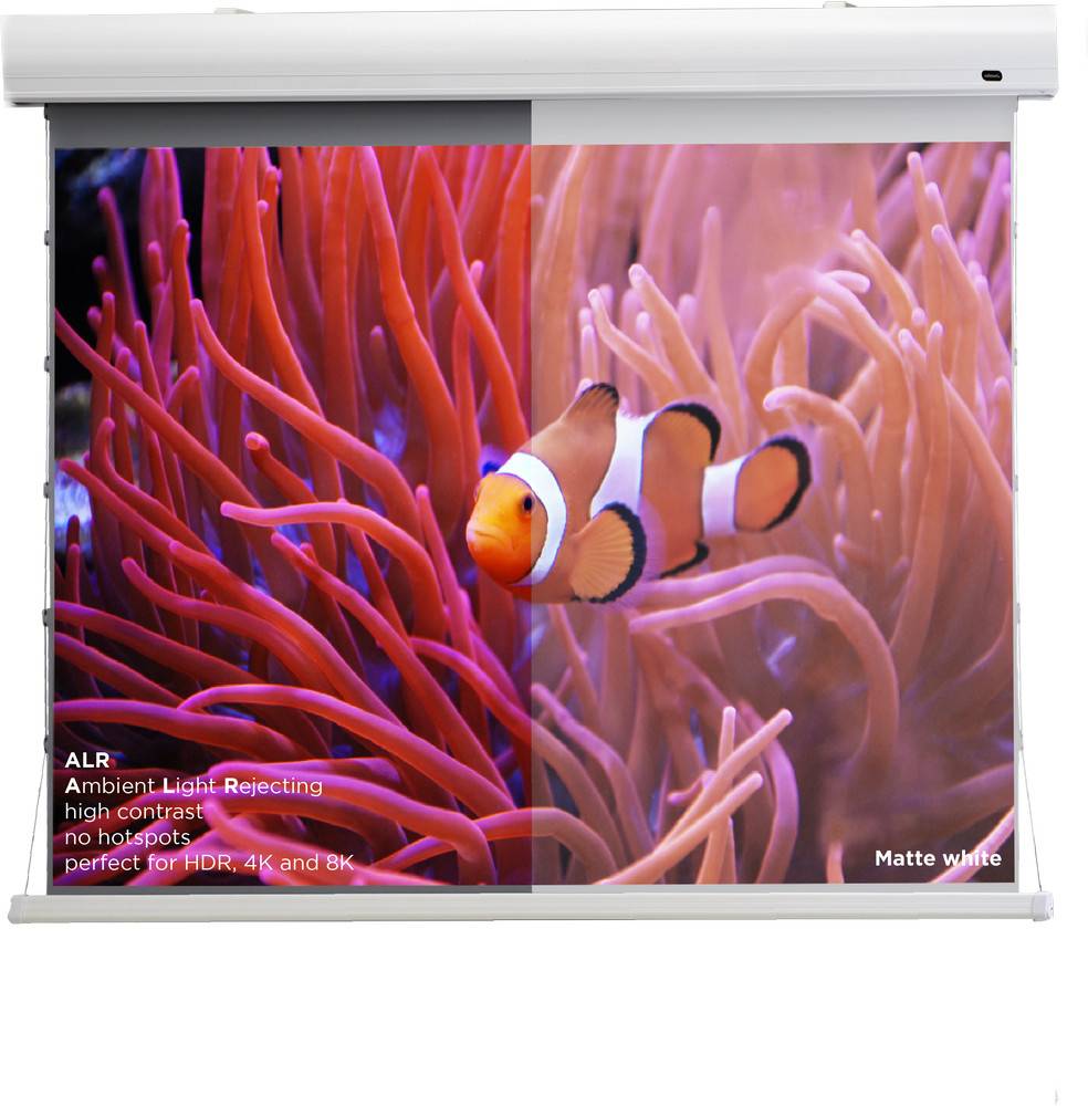 celexon HomeCinema Hochkontrastleinwand Tension 265 x 149 cm 120" - Dynamic Slate ALR-4