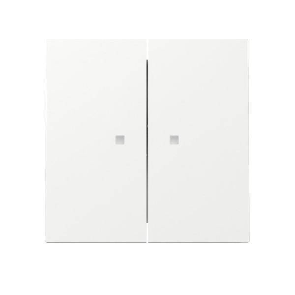 Gira Wippe 2f Kontrollf. 363170-0