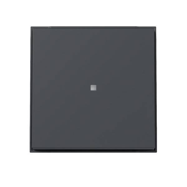 Gira Wippe Kontrollf. 329067-0
