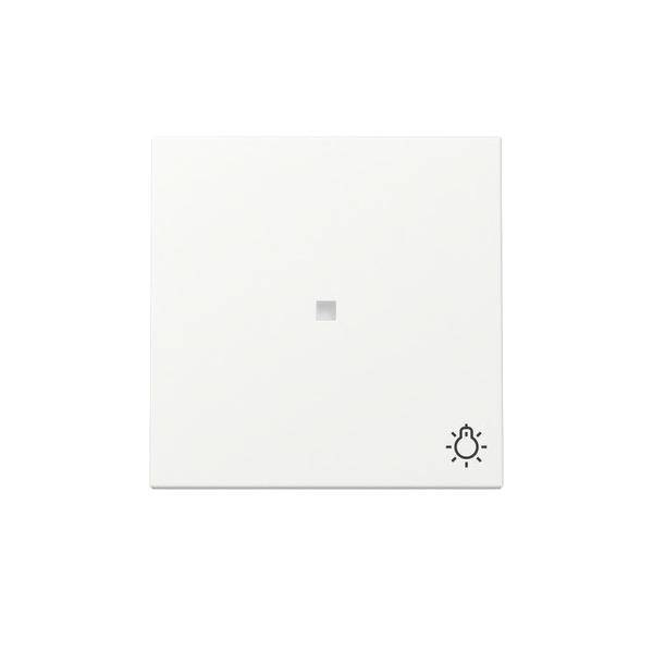 Gira Wippe Kontrollf. + Symb. 367427-0