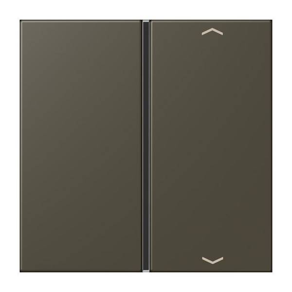 Jung Taste 1fach m. Pfeilsymb. LC 401 TSAP 241