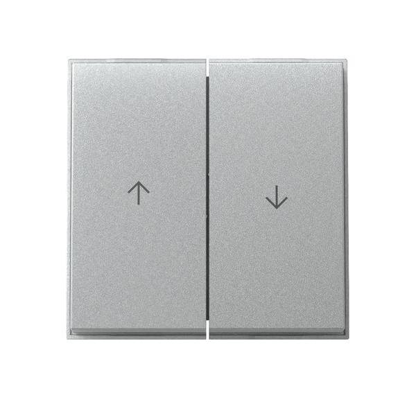 Gira Wippe 2f Pfeil 329465-0