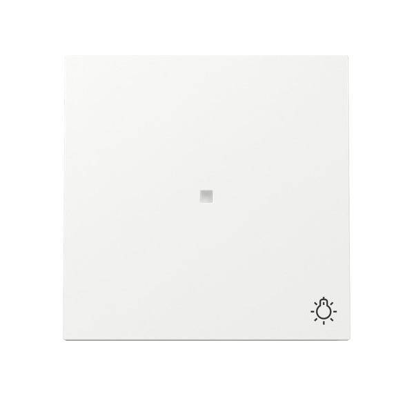 Gira Wippe Kontrollf. + Symb. 367470