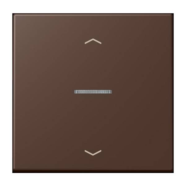 Jung Wippe mit Lichtleiter LC 101 KO5P 239